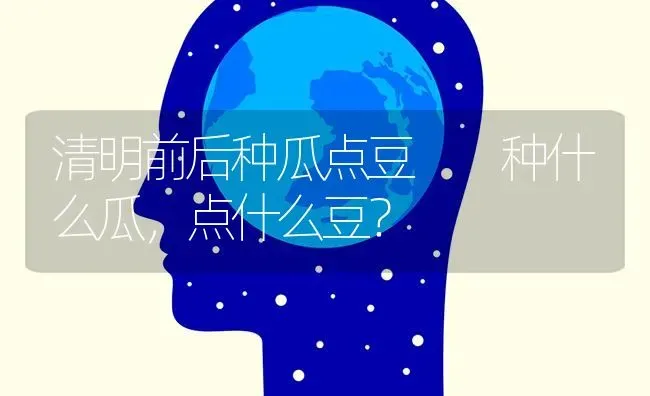 清明前后种瓜点豆  种什么瓜,点什么豆? | 养殖技术大全