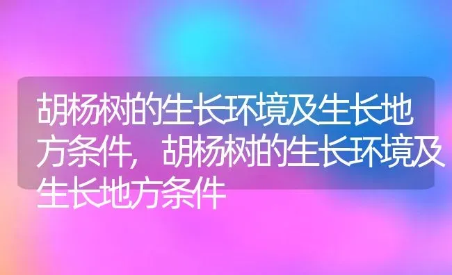 胡杨树的生长环境及生长地方条件,胡杨树的生长环境及生长地方条件 | 养殖科普