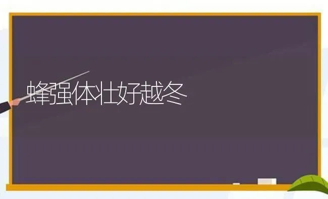 蜂强体壮好越冬 | 养殖技术大全