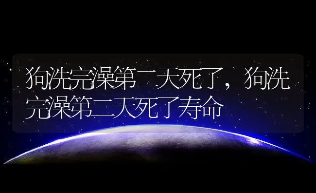 狗洗完澡第二天死了,狗洗完澡第二天死了寿命 | 养殖科普