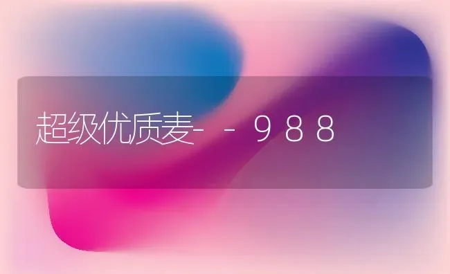 超级优质麦--988 | 养殖技术大全