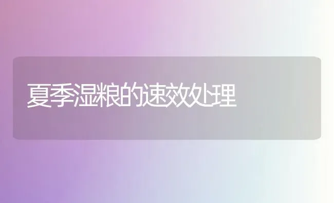 夏季湿粮的速效处理 | 养殖知识