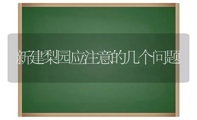 新建梨园应注意的几个问题 | 养殖技术大全