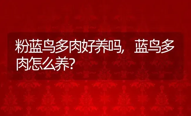 粉蓝鸟多肉好养吗,蓝鸟多肉怎么养？ | 养殖科普