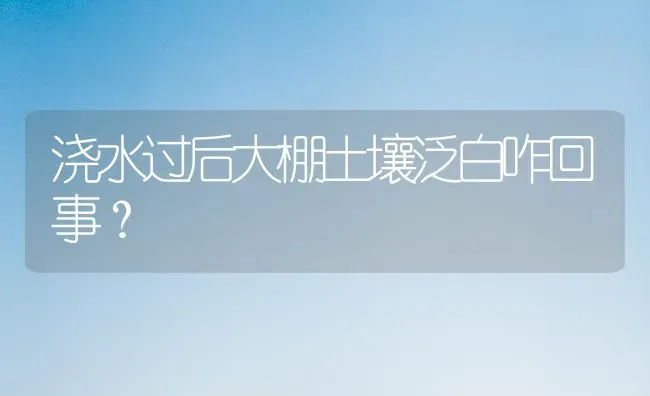 浇水过后大棚土壤泛白咋回事? | 养殖技术大全