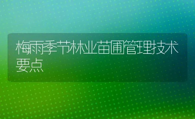 梅雨季节林业苗圃管理技术要点 | 养殖知识