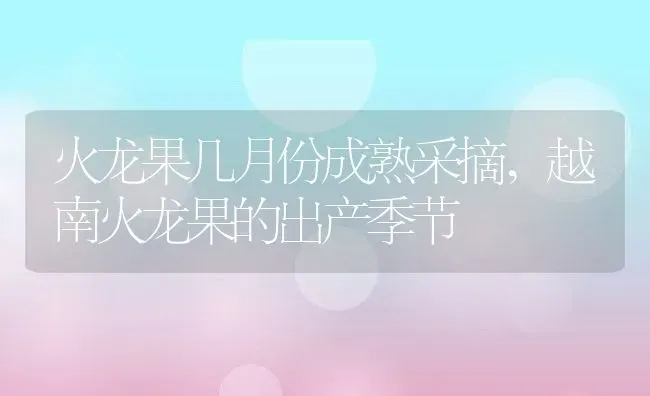 火龙果几月份成熟采摘,越南火龙果的出产季节 | 养殖学堂