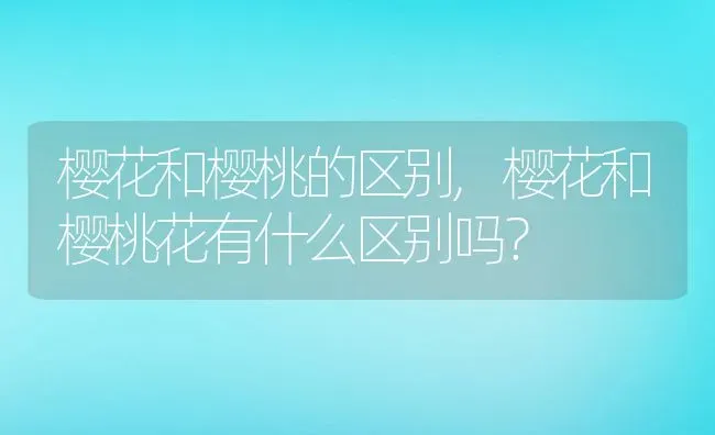 樱花和樱桃的区别,樱花和樱桃花有什么区别吗？ | 养殖科普