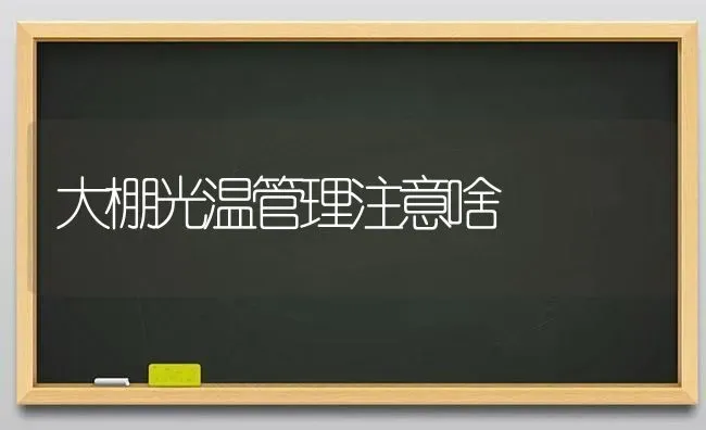 大棚光温管理注意啥 | 养殖技术大全