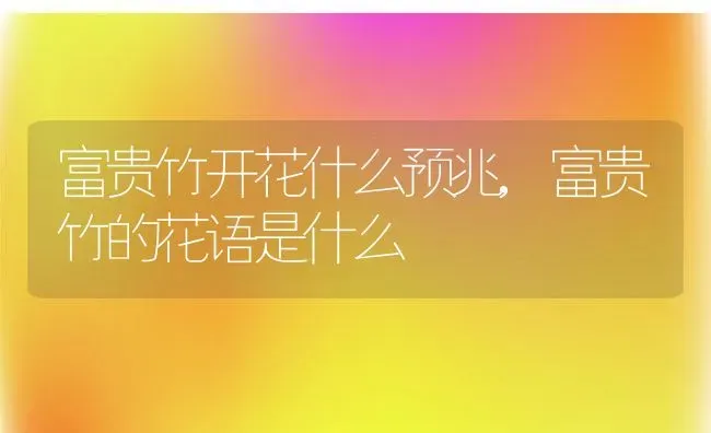 富贵竹开花什么预兆,富贵竹的花语是什么 | 养殖学堂