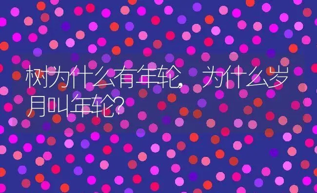 树为什么有年轮,为什么岁月叫年轮？ | 养殖科普