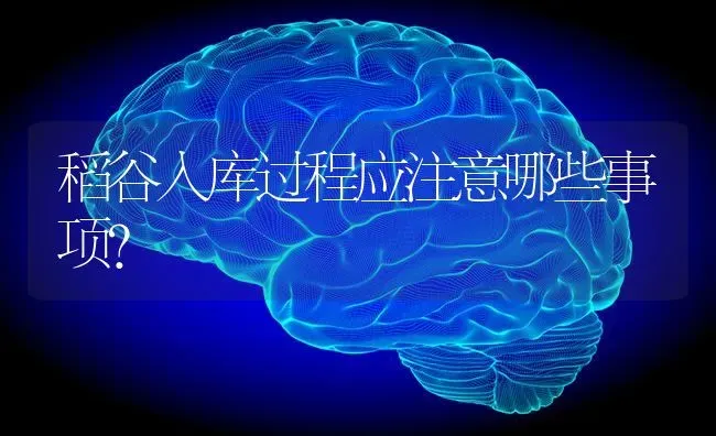 稻谷入库过程应注意哪些事项? | 养殖知识