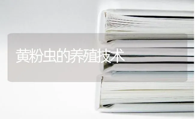 黄粉虫的养殖技术 | 养殖技术大全