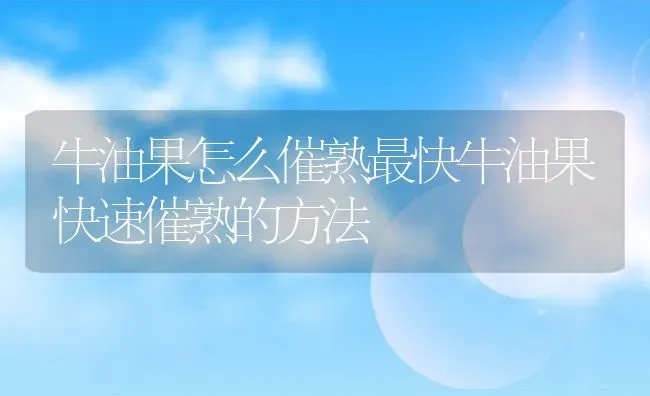 牛油果怎么催熟最快牛油果快速催熟的方法 | 养殖学堂