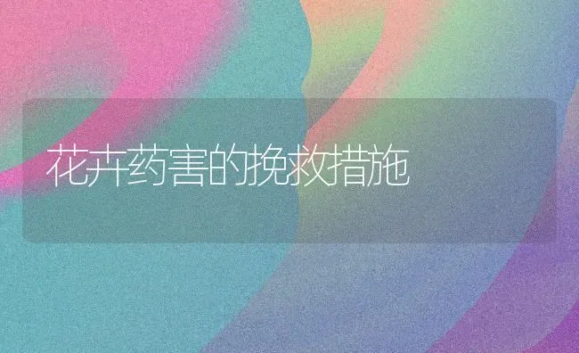 花卉药害的挽救措施 | 养殖技术大全