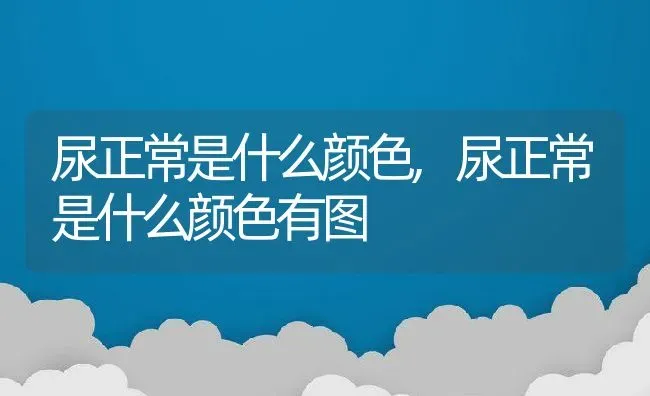 尿正常是什么颜色,尿正常是什么颜色有图 | 养殖科普