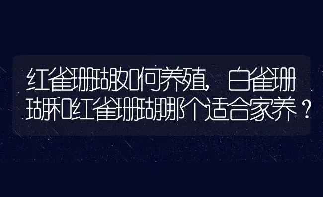 红雀珊瑚如何养殖,白雀珊瑚和红雀珊瑚哪个适合家养？ | 养殖科普