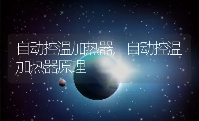 自动控温加热器,自动控温加热器原理 | 养殖科普