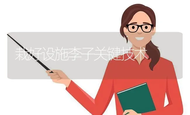 栽好设施李子关键技术 | 养殖技术大全
