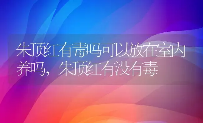 朱顶红有毒吗可以放在室内养吗,朱顶红有没有毒 | 养殖学堂