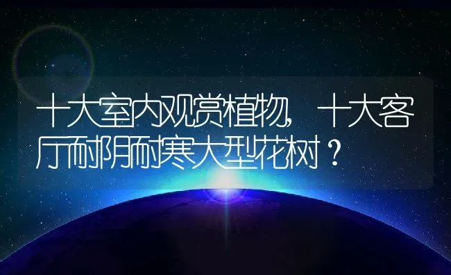 十大室内观赏植物,十大客厅耐阴耐寒大型花树？ | 养殖科普