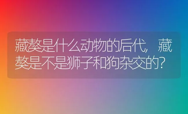 藏獒是什么动物的后代,藏獒是不是狮子和狗杂交的？ | 养殖学堂