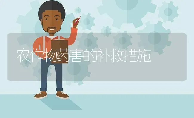 农作物药害的补救措施 | 养殖技术大全
