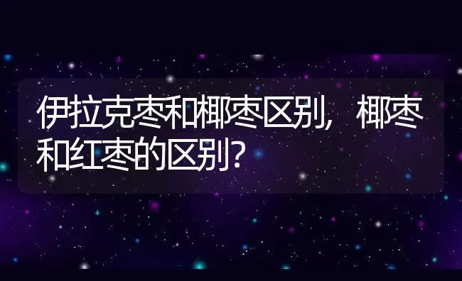 伊拉克枣和椰枣区别,椰枣和红枣的区别？ | 养殖科普