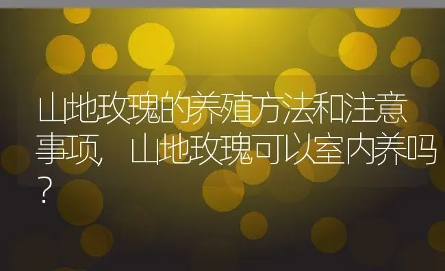 山地玫瑰的养殖方法和注意事项,山地玫瑰可以室内养吗？ | 养殖科普
