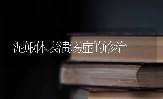 泥鳅体表溃疡症的诊治 | 养殖知识