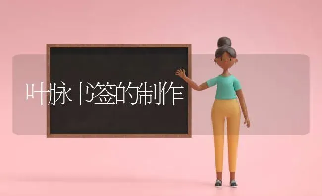 叶脉书签的制作 | 养殖技术大全