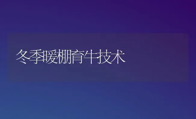 冬季暖棚育牛技术 | 养殖技术大全