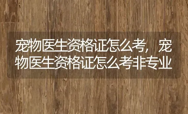 宠物医生资格证怎么考,宠物医生资格证怎么考非专业 | 养殖科普