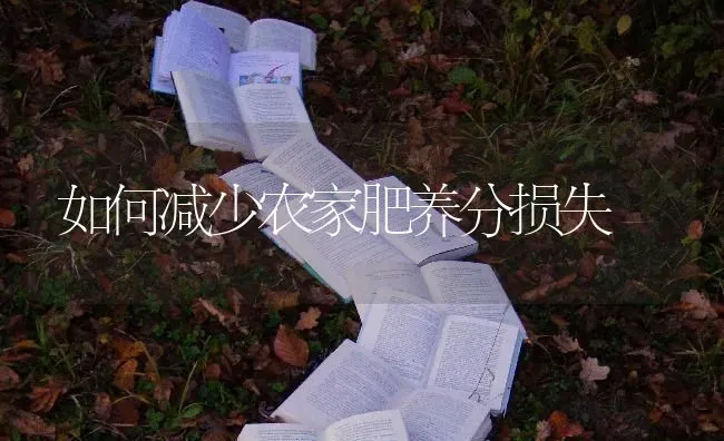 如何减少农家肥养分损失 | 养殖技术大全