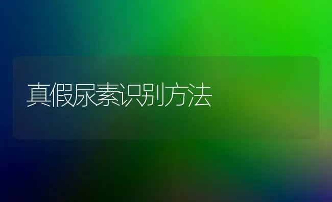 真假尿素识别方法 | 养殖知识