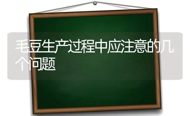 毛豆生产过程中应注意的几个问题 | 养殖技术大全