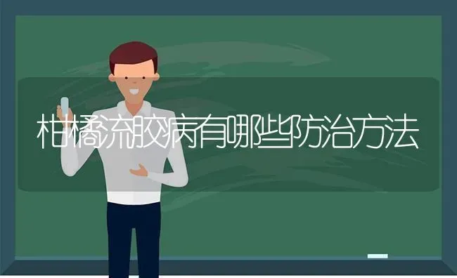 柑橘流胶病有哪些防治方法 | 养殖技术大全