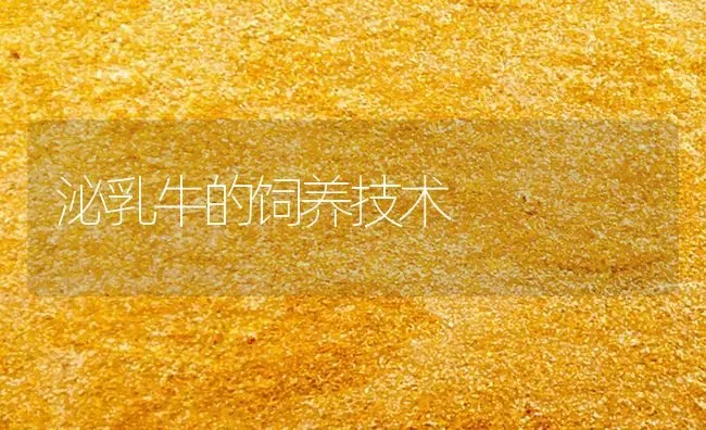 泌乳牛的饲养技术 | 养殖技术大全