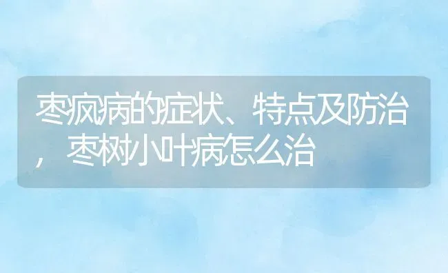 枣疯病的症状、特点及防治,枣树小叶病怎么治 | 养殖学堂