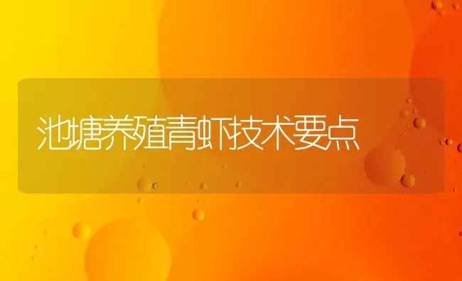池塘养殖青虾技术要点 | 养殖技术大全