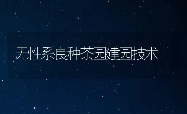 无性系良种茶园建园技术 | 养殖知识