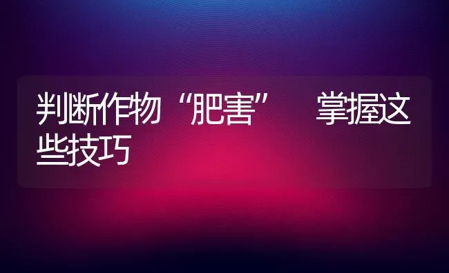 判断作物“肥害” 掌握这些技巧 | 养殖技术大全