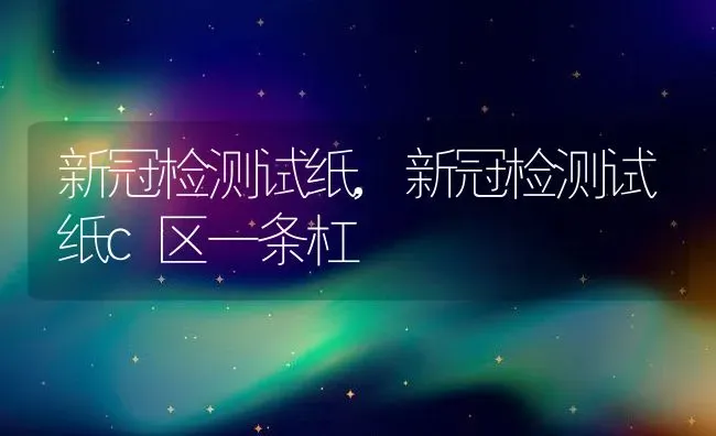 新冠检测试纸,新冠检测试纸c区一条杠 | 养殖资料