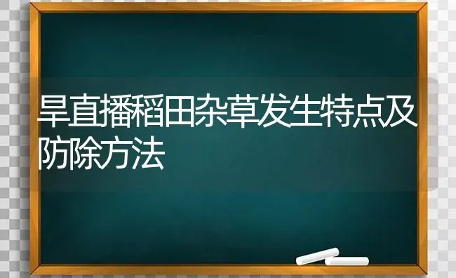 旱直播稻田杂草发生特点及防除方法 | 养殖知识