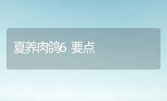 夏养肉鸽6要点 | 养殖知识