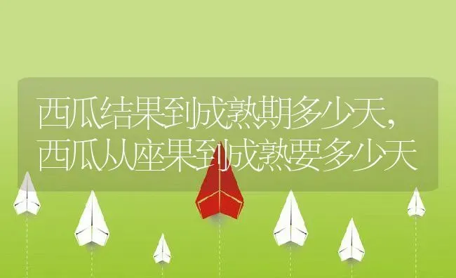 西瓜结果到成熟期多少天,西瓜从座果到成熟要多少天 | 养殖学堂