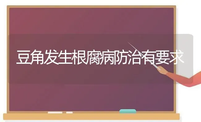 豆角发生根腐病防治有要求 | 养殖技术大全