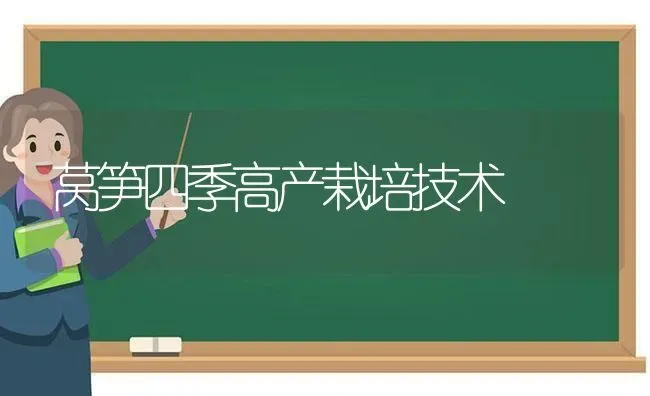 莴笋四季高产栽培技术 | 养殖技术大全