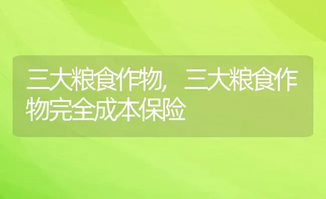 三大粮食作物,三大粮食作物完全成本保险 | 养殖资料