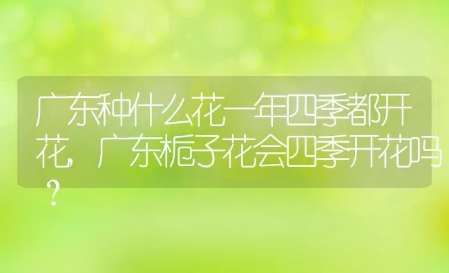 广东种什么花一年四季都开花,广东栀子花会四季开花吗？ | 养殖学堂